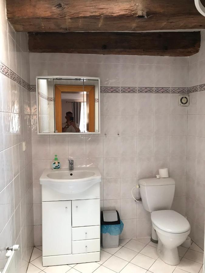 פארדוביצה Hotel U Zlateho Andela מראה חיצוני תמונה